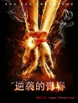 一级欧美一级日韩片老司机99