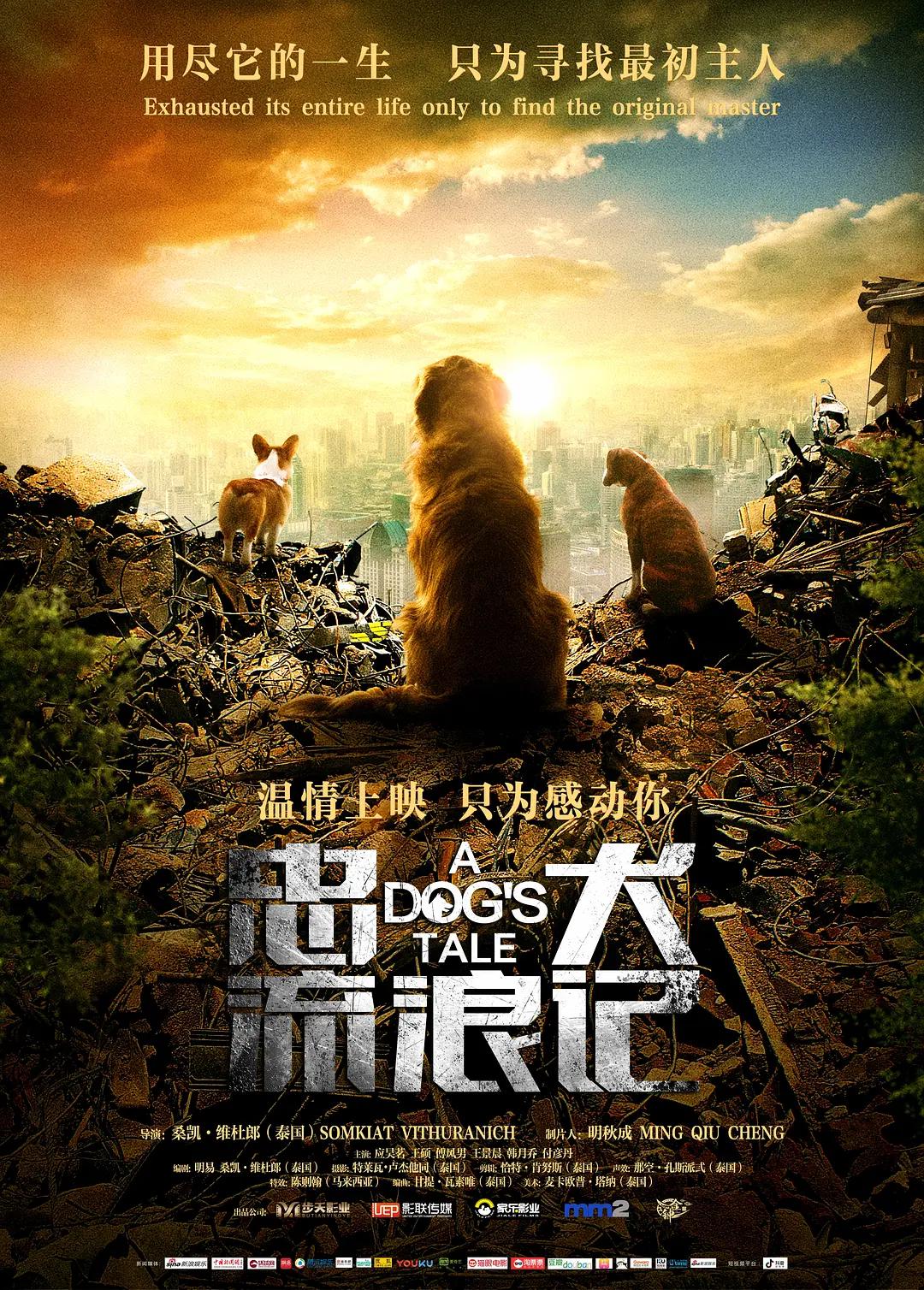 另类欧美日韩-高清完整版独家试爱免费观看视频