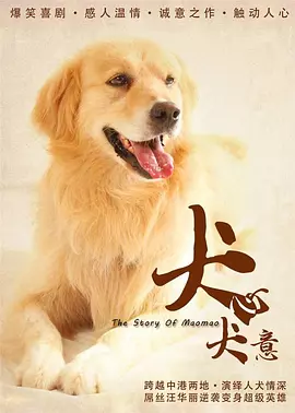 国内精品久久久久影院不卡