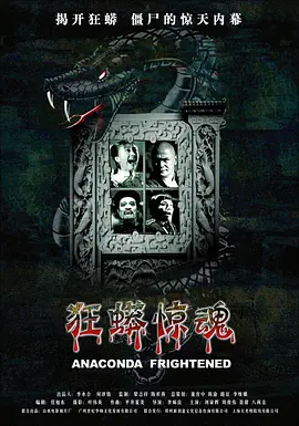 欧美成人中文字幕dvd