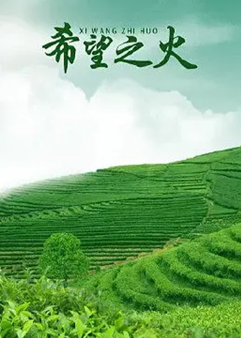 亚洲欧美日韩丝袜另类