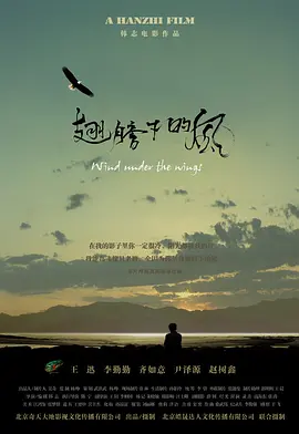 一级特黄录像免费播放中文版