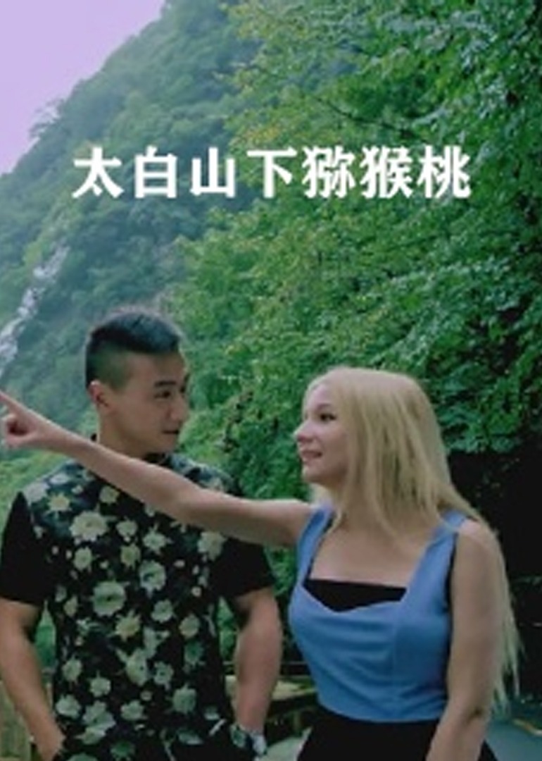 日韩无码视频