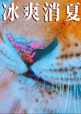 亚洲欧美一区二区三区久本道,国产高清在线精品一区二区,欧美精品三区,三级国产精品,欧美三级不卡在线观看视频,欧美久久亚洲精品,日韩高清成人毛片不卡 - BD在线观看电视