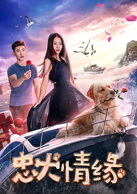 五月丁香在线视频