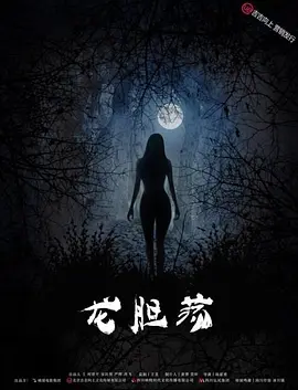久久精品亚洲热综合一本奇米