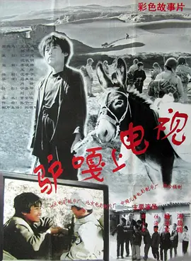YY11111光电影院免费理论片