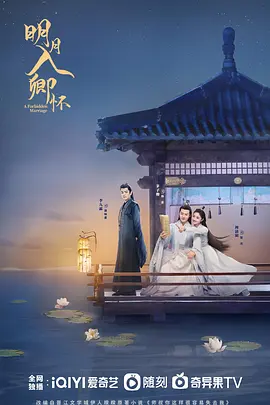 久久久久久精品一级