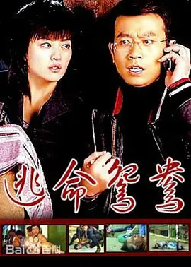 一级a片野战视频在线