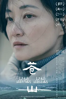 精品亚洲av无码