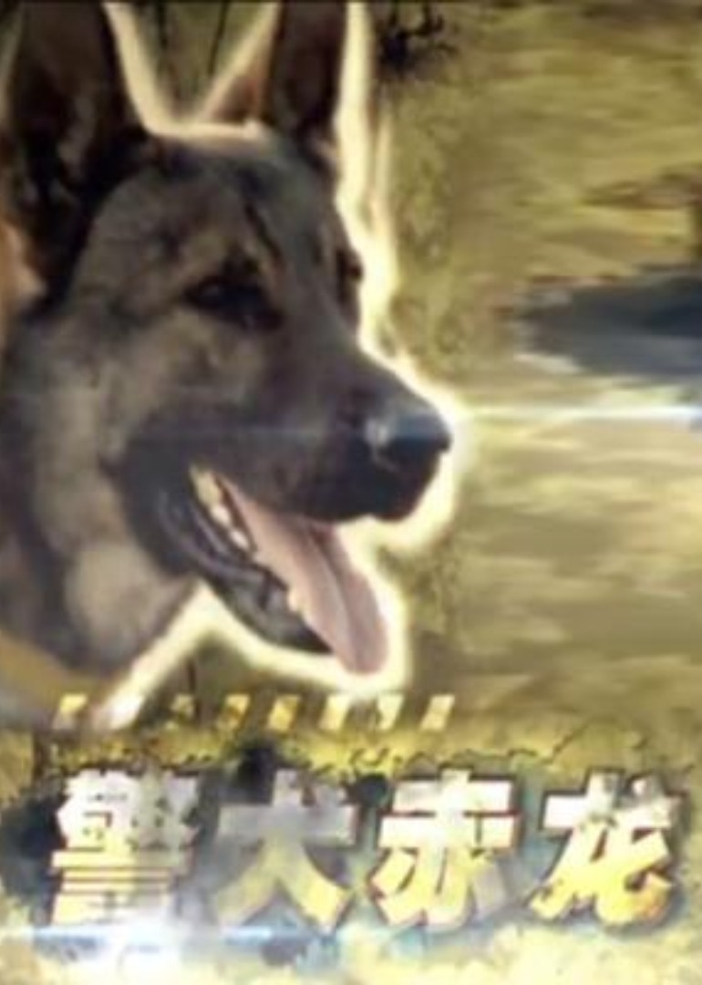 天天躁日日躁狠狠躁性色av王爷