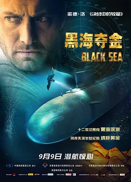 2019精品视频免费观看