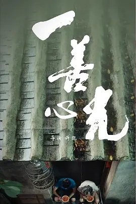 国产精品爽爽ⅴa在线观看