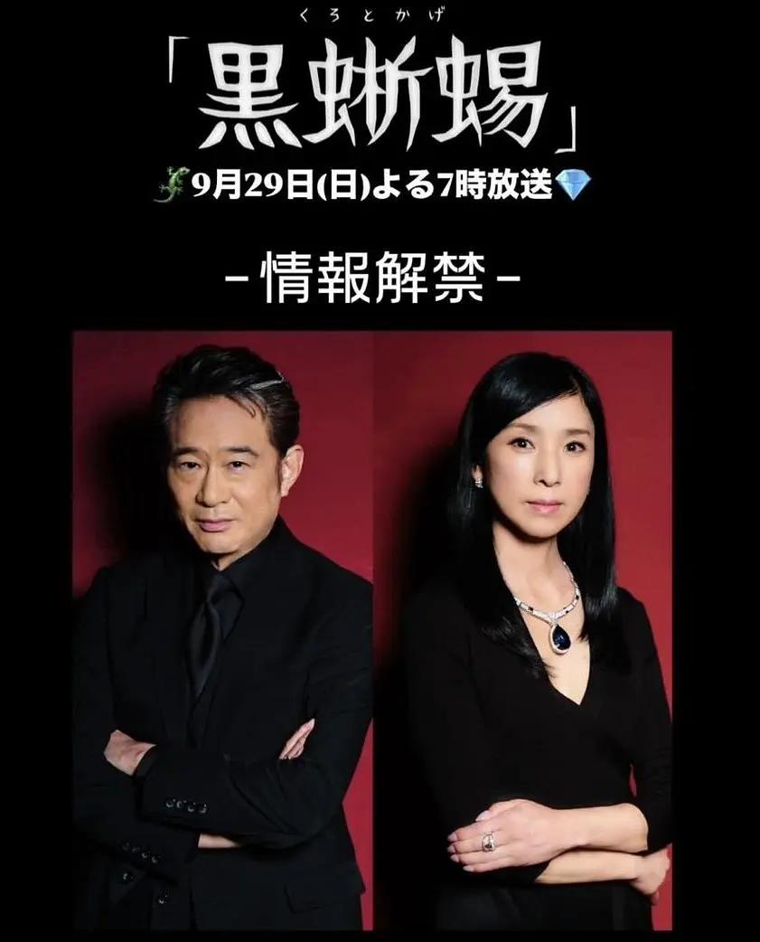 熟女高清视频在线观看