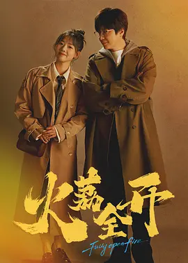 欧美激情一区二区三区在线播放