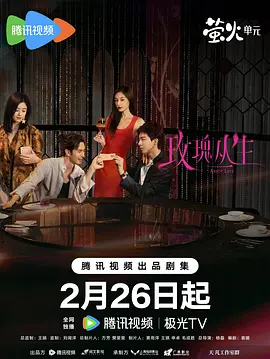 精品视频在线观看