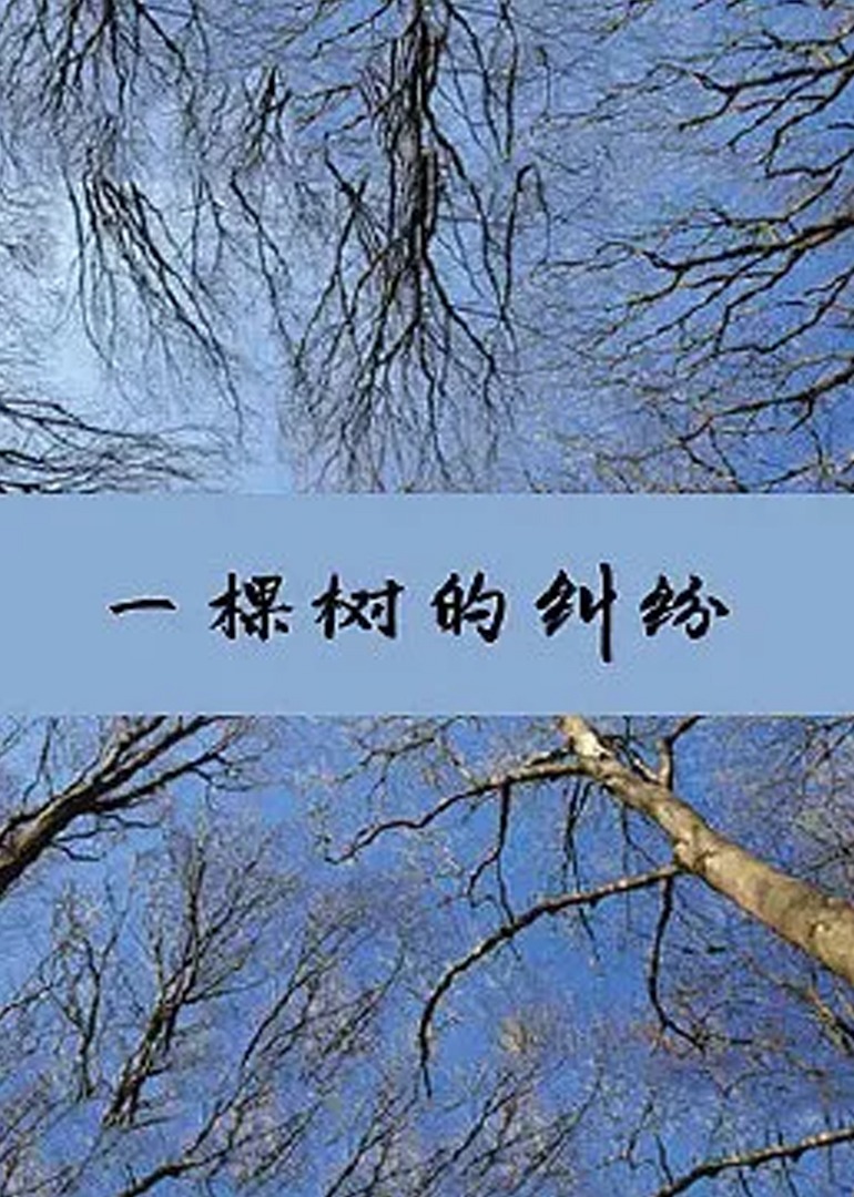 国产免费av片在线无码免费看