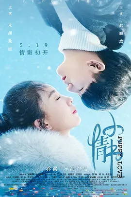 一区二区视频在线观看