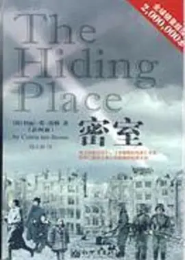 国产成人精品在线