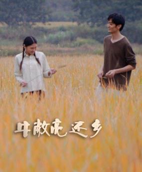 视频免费