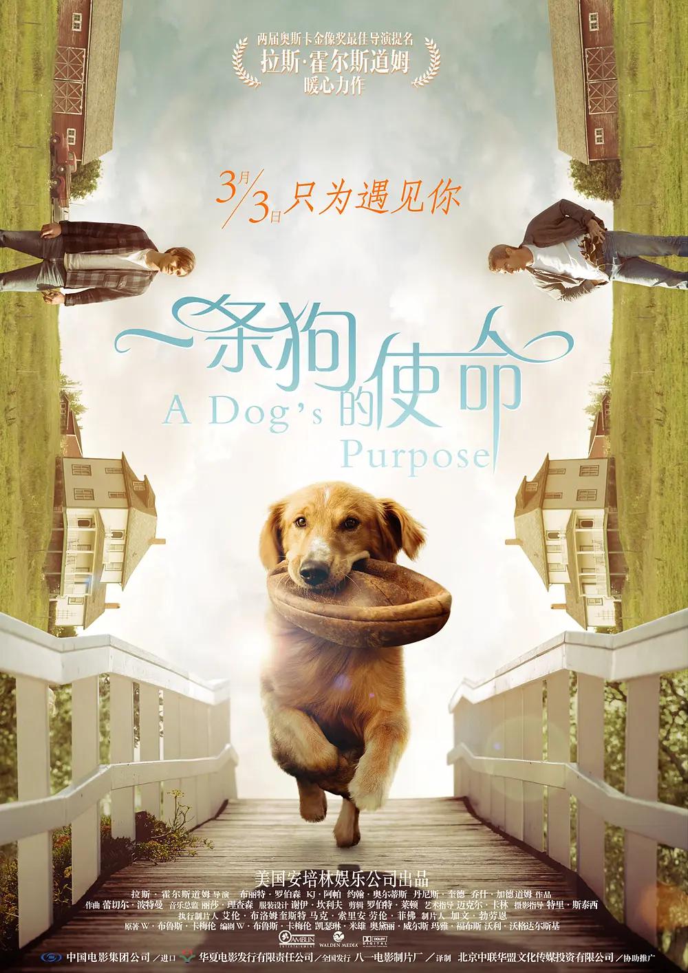 国产在线精品午夜肉伦伦影院