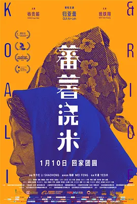 国产亚洲精品不卡在线