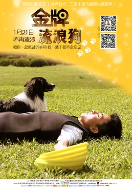 国产精品高清一区二区三区不卡 - 4k韩国电影在线观看