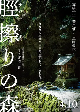 最好看的2018中文字幕免费视频