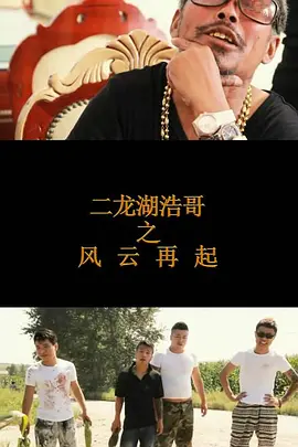 二龙湖浩哥之风云再起